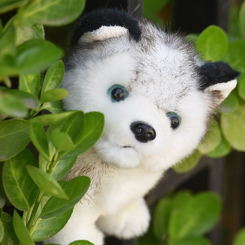 Kids Husky Dog Stuffed Doll&Plush Toys