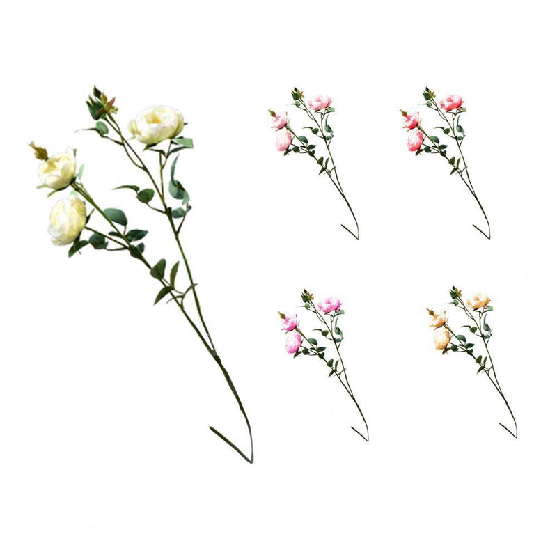 Plants Dried Natural Preserved Artificial FLowers - funny gifts store